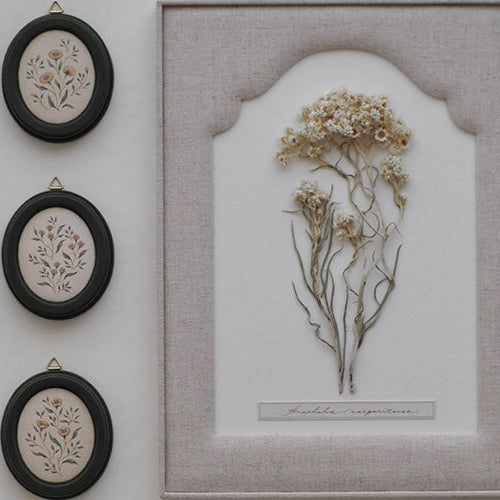 4.9〜19 ouvrir「nostalgia」 椎木希望 作品展