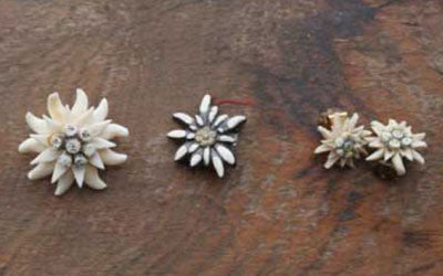 No.13 fêtes de l'edelweiss — LISETTE