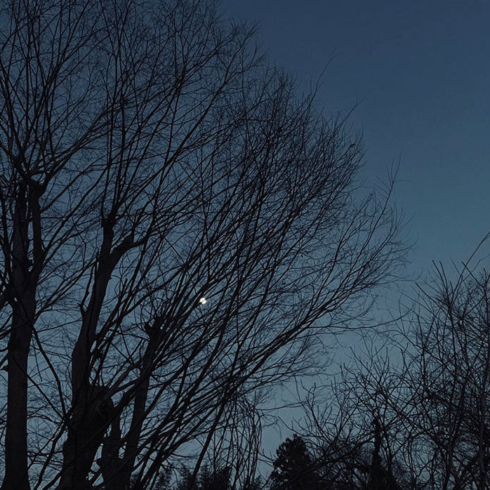 No.65 La lune 月食の晩に