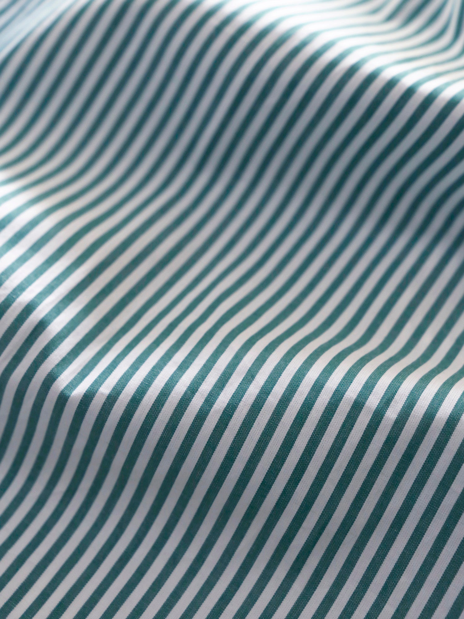 【予約販売商品】フェルナンド