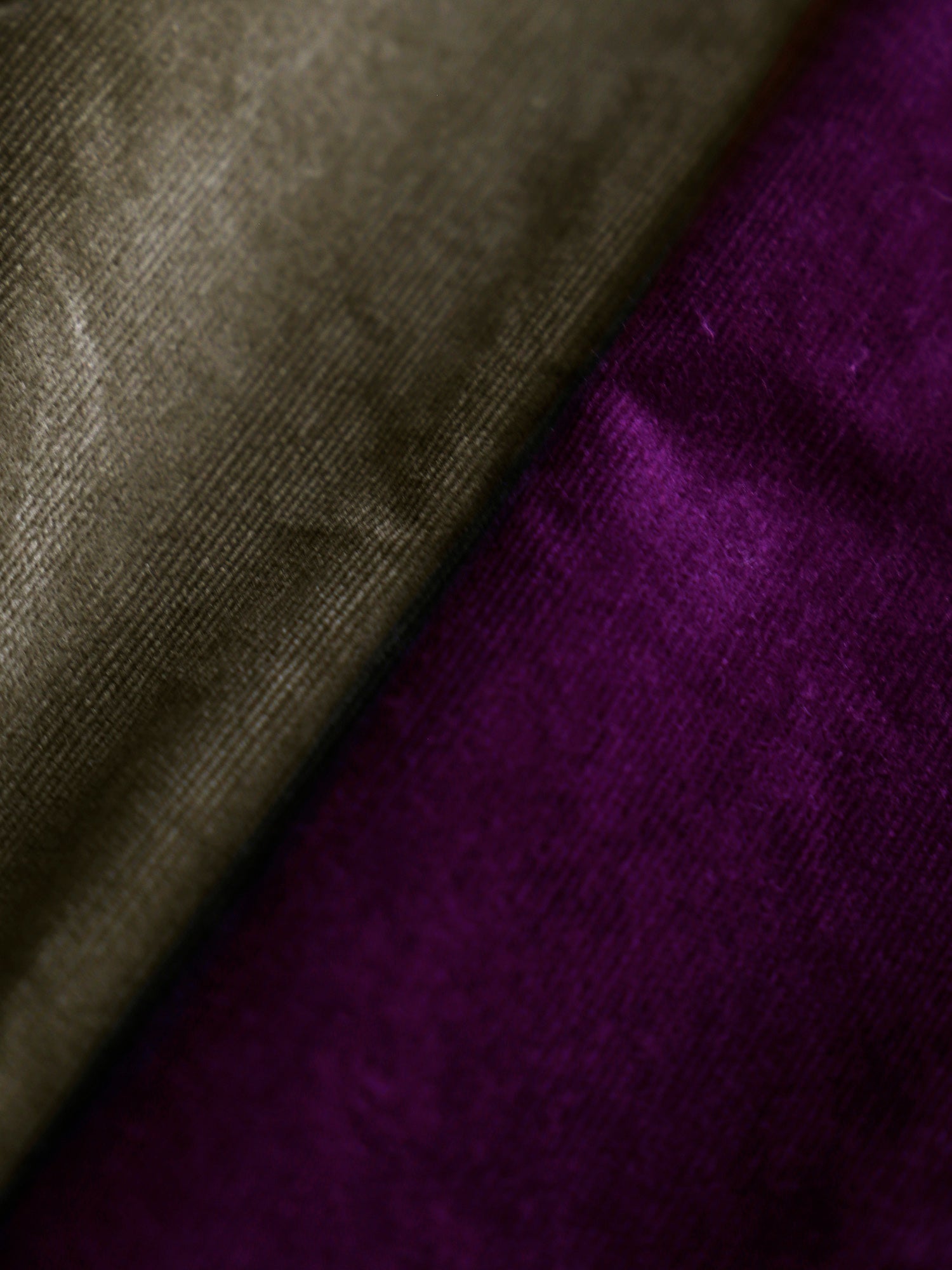 左：カキ　右：プラム