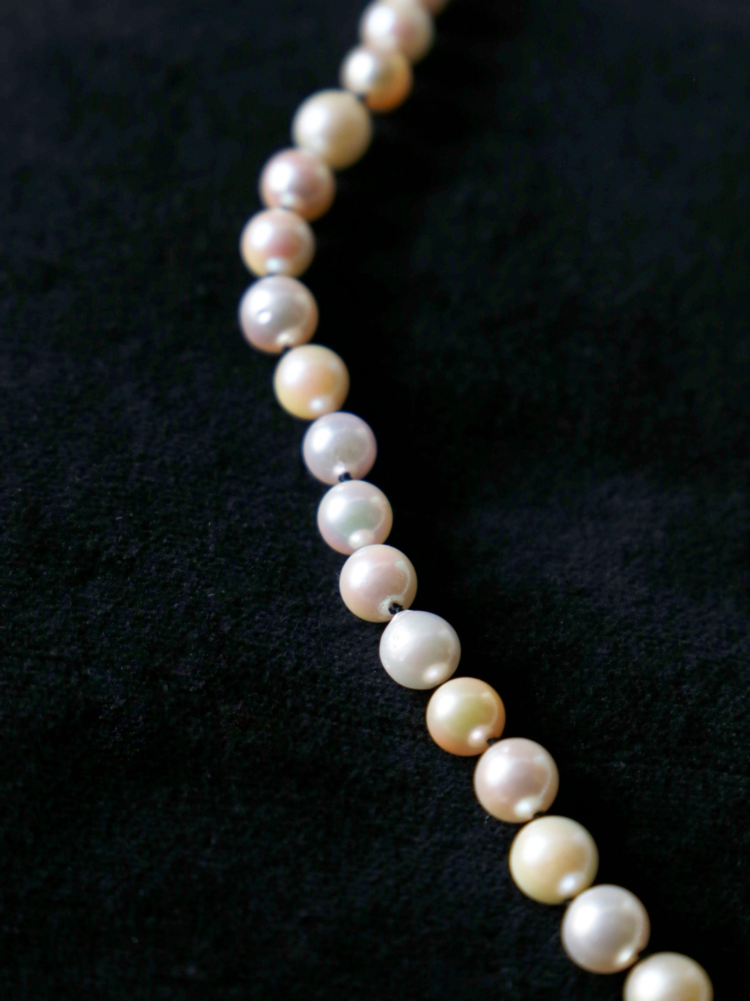 MAISON RUBUS.×LISETTE ヴィンテージパールオールノットネックレス/アコヤWHITE