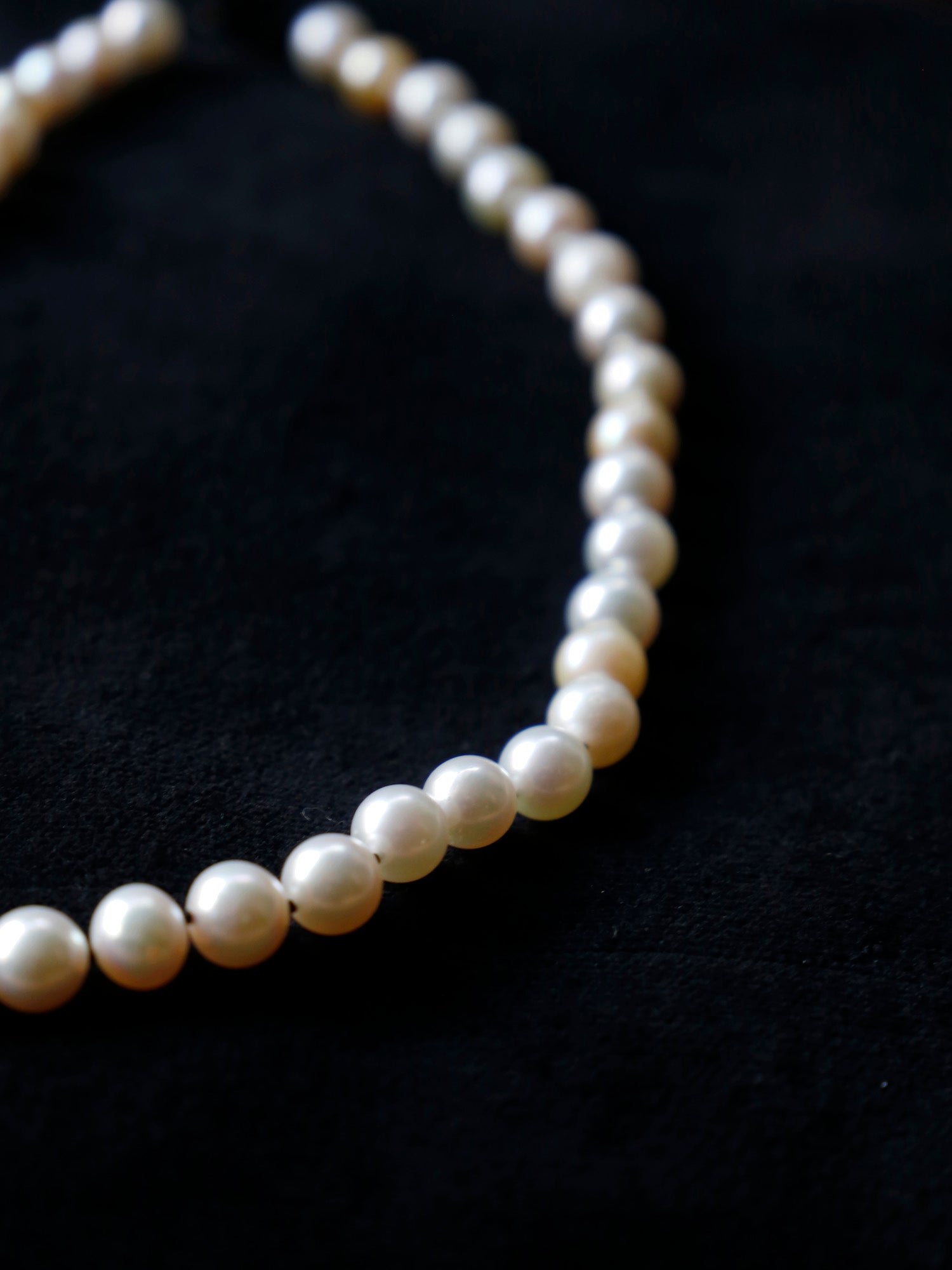 MAISON RUBUS.×LISETTE ヴィンテージパールオールノットネックレス/アコヤWHITE