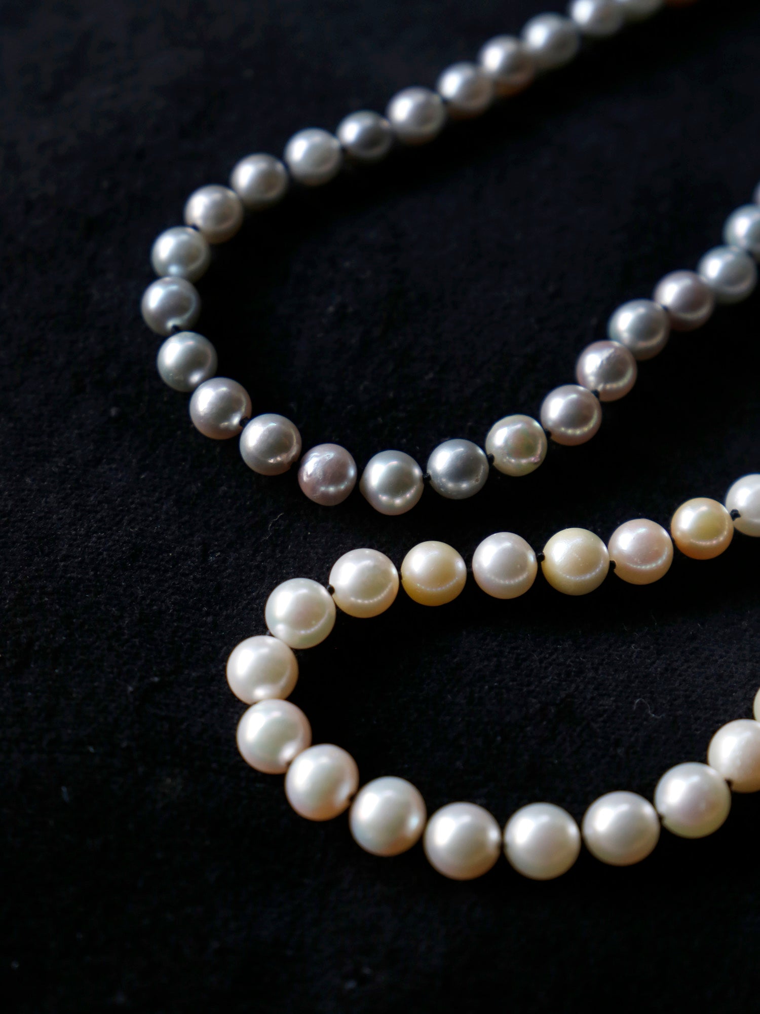 上：南洋パールGRAY<br>下：アコヤWHITE